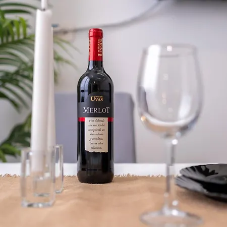 Canary Dream Las Palmas de Gran Canaria